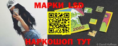 гашик Кимры