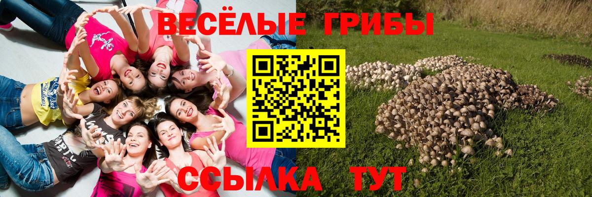 Галлюциногенные грибы MAGIC MUSHROOMS  Вход с VPN  Когалым  Галлюциногенные грибы мухоморы 